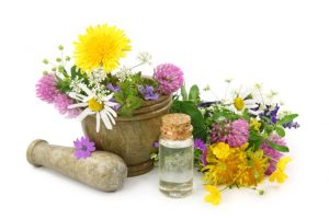 Which herbal water to choose? Types and properties of hydrolates