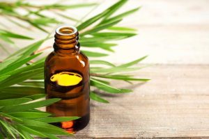 20 Ideas for Tea Tree Oil Uses